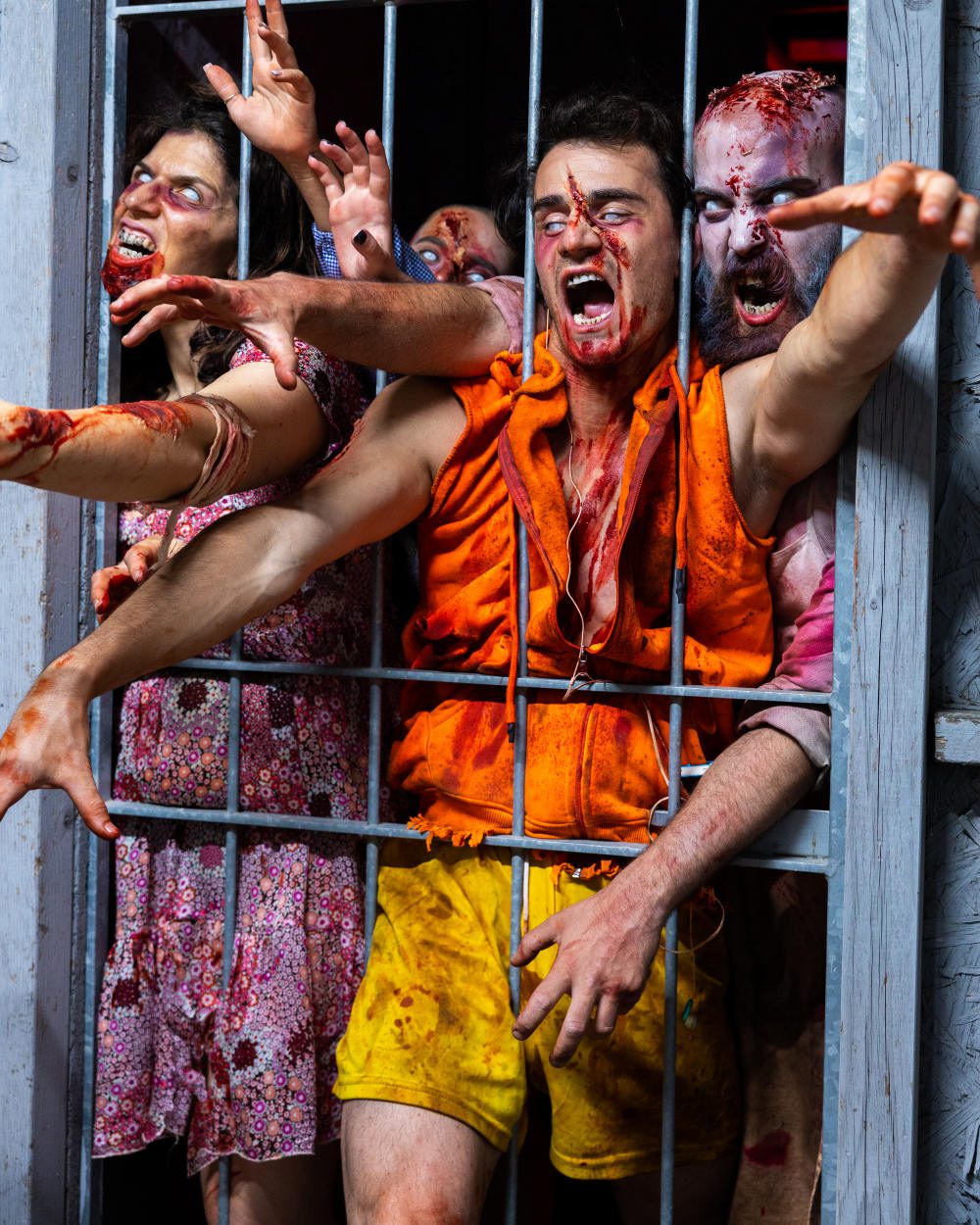 survival zombie (1)